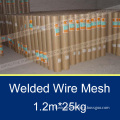 1/2"*50m stainless steel welded wire mesh rolls